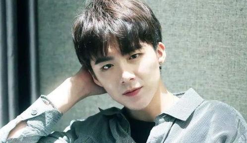 刘宇宁直播爆料最新消息视频,最新消息视频深度解析 第2张 刘宇宁直播爆料最新消息视频,最新消息视频深度解析 第2张